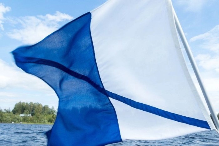 Blue and white alfa flag