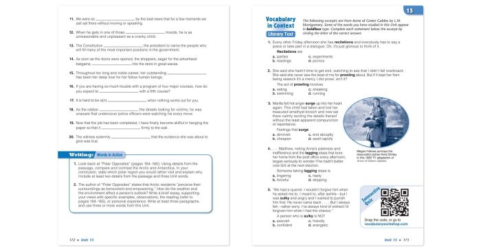 Vocabulary workshop unit 11 level c