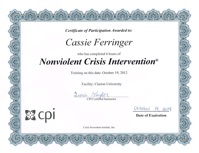 Cpi non violent crisis intervention training