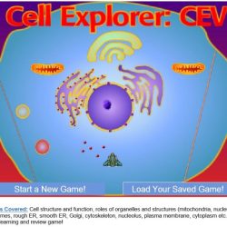 Bioman cell explorer the animal cell