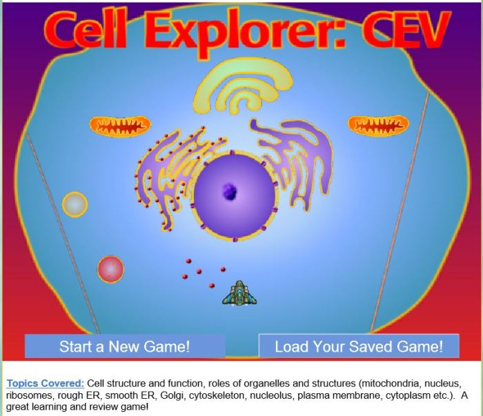 Bioman cell explorer the animal cell