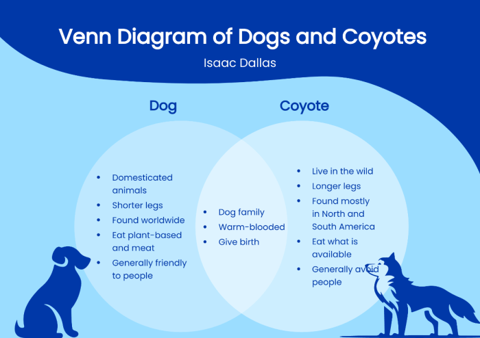 Organizer venn organizers visme compared define