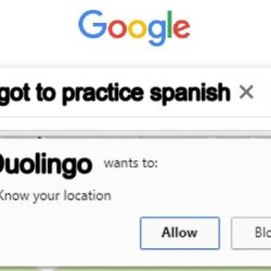 Bruno wants to be a waiter in spanish duolingo